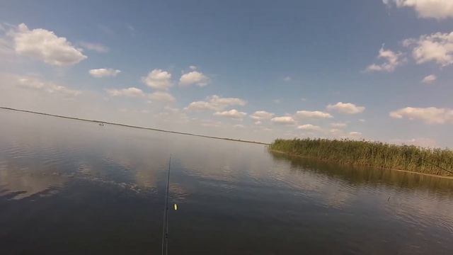 Щуренок позвал бабушку смотреть онлайн