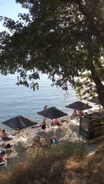 Геленджик 2023 пляж магнолия смотреть онлайн