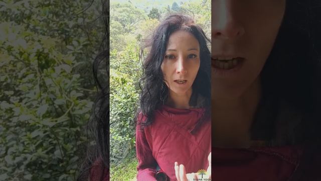 2.1 Какие ключевые практики саморазвития Вы считаете наиболее эффективными и почему?