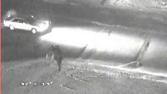 Кража тележки с продуктами студентом смотреть онлайн