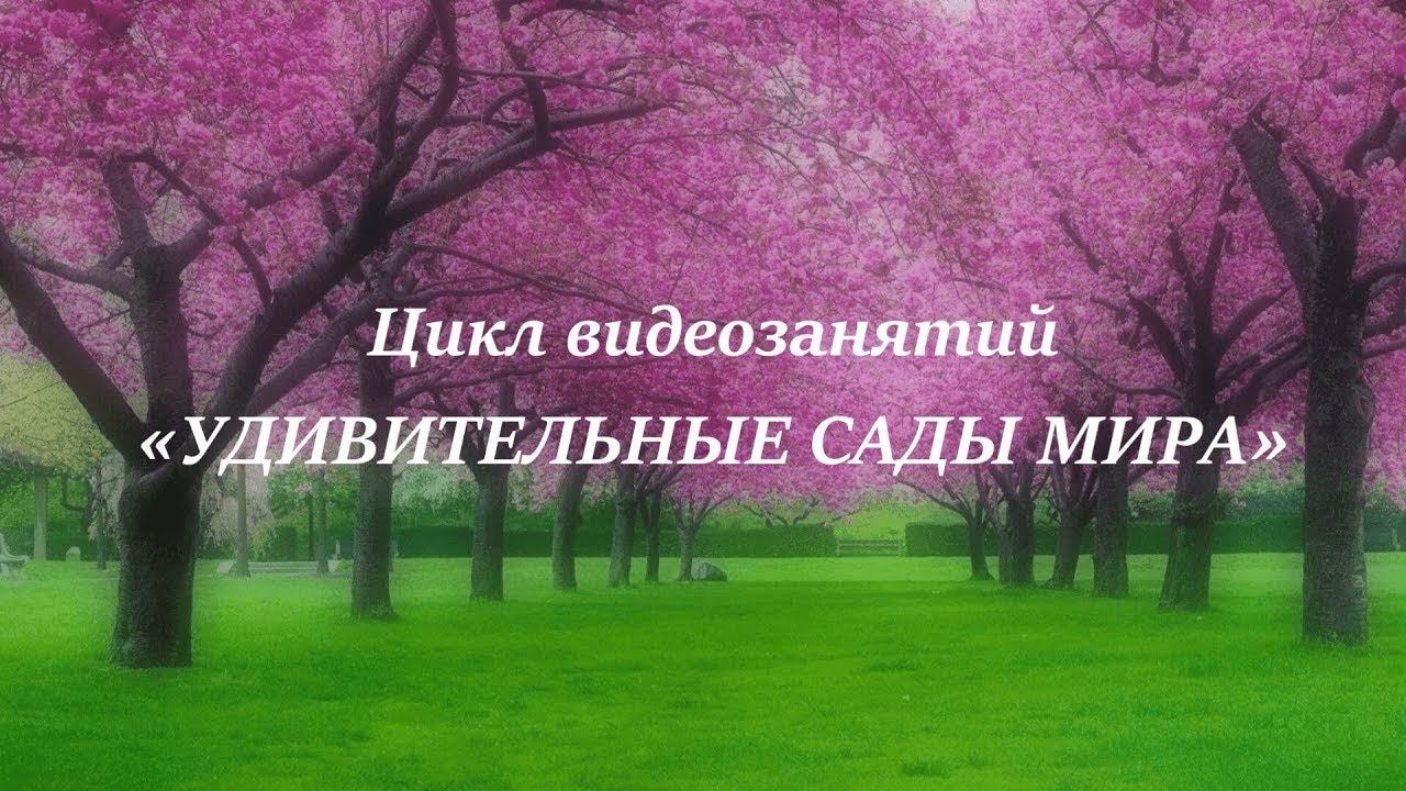 Французский сад смотреть онлайн