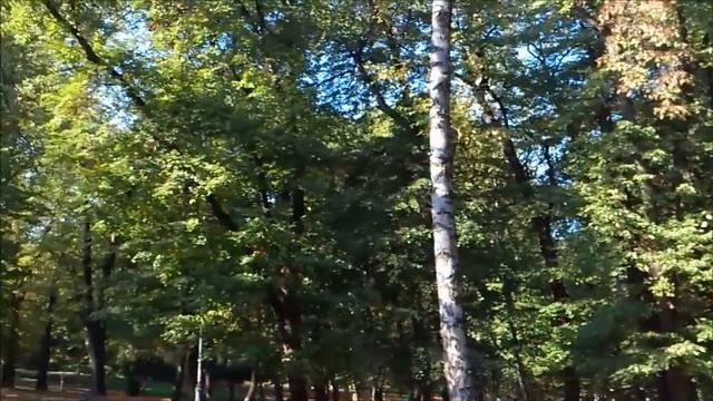 Осенний Влог!Белочки,гуляю в парке,университет) смотреть онлайн