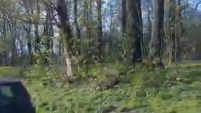 Шлиссельбург ул 1 го Мая д 8 1 эт смотреть онлайн