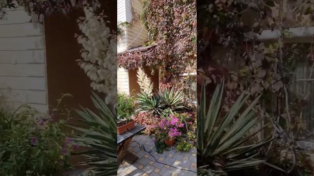 Витязево смотреть онлайн