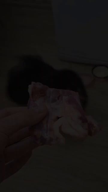 На сколько же он любит мясо🫠 смотреть онлайн