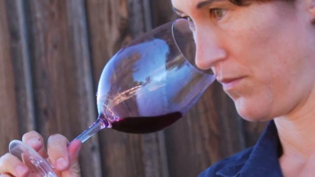 Sequoia Grove Winery - Cabernet Franc смотреть онлайн