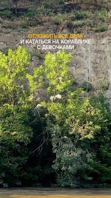 #тбилиси #экспатывгрузии #переездвгрузию смотреть онлайн