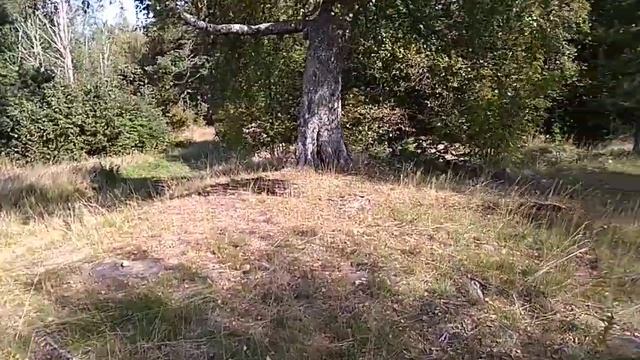 Город Санкт-Петербург им.Бобочино пос.Поляны(стар.назв.Церковная деревня(Мозjгопи))Россия2021(7530) смотреть онлайн