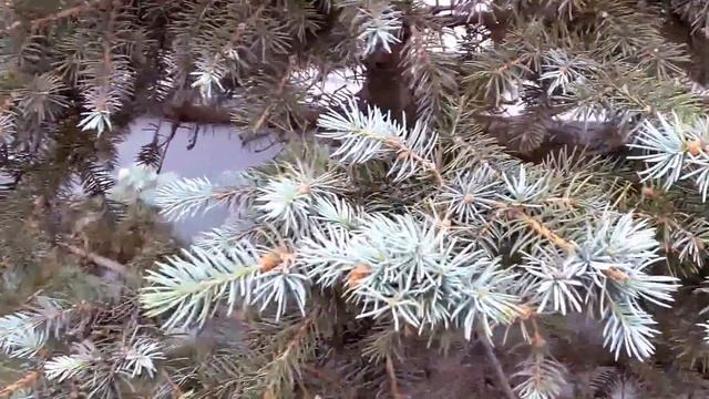 Уся. Атырау. Гостиница Атырау.Уся смотреть онлайн