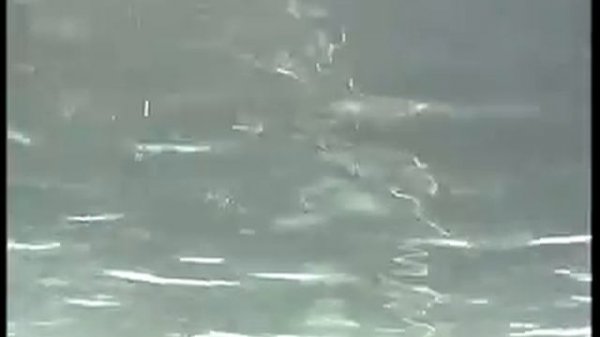 2 дайвера утонули в карьере "Южном"