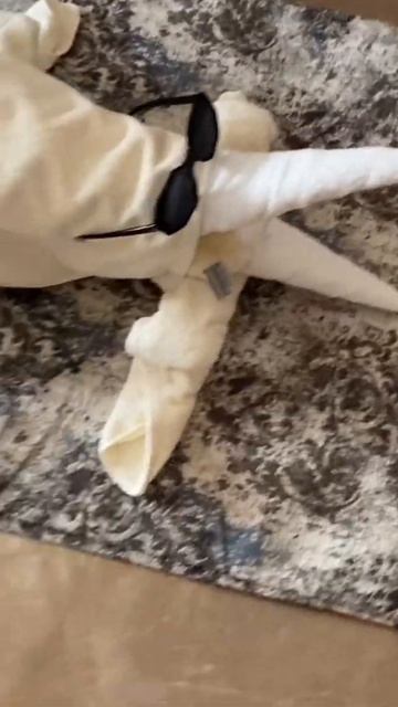 Прикольное оформление в Египте. Крокодил. Отель ALBATROS LAGUNA VISTA BEACH, 5 смотреть онлайн