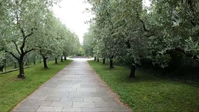 ТАКУЮ ИТАЛИЮ ВЫ ТОЧНО НЕ ВИДЕЛИ / САМОЕ КРАСИВОЕ И НЕИЗВЕСТНОЕ МЕСТО ОЗЕРА КОМО смотреть онлайн