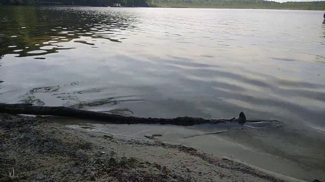 Пляж на озере Песчаное смотреть онлайн