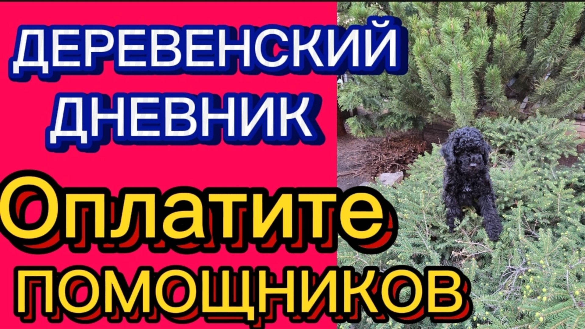 "ДАЙТЕ НА ПОМОЩНИКОВ" ДЕРЕВЕНСКИЙ ДНЕВНИК ОЧЕНЬ МНОГОДЕТНОЙ МАМЫ. смотреть онлайн