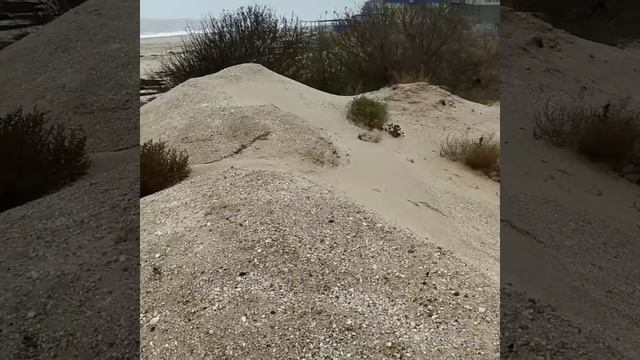 кирилловка " Пересыпь" После шторма15 декабря 2020 г. смотреть онлайн