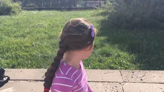 По пути на юг сентябрь 2016 смотреть онлайн