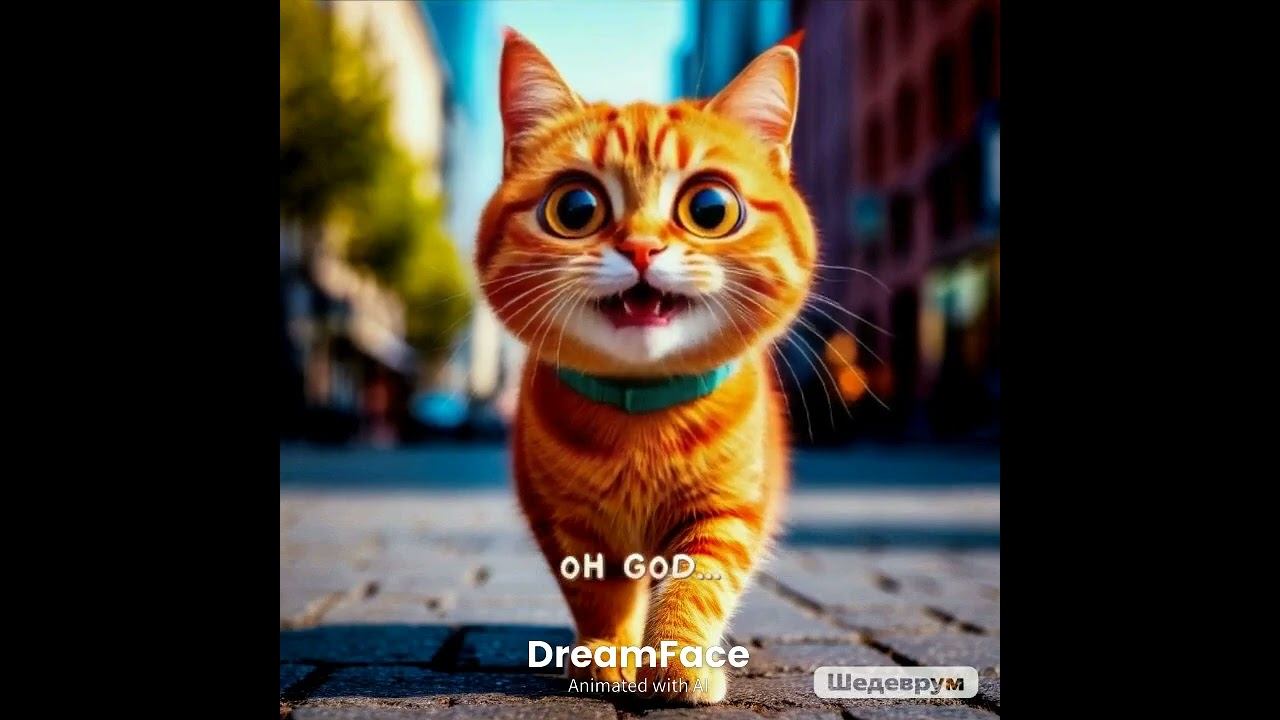 приколы#смешнойшортс#нейронина #cat #шуточное #ржака #смешновидео смотреть онлайн