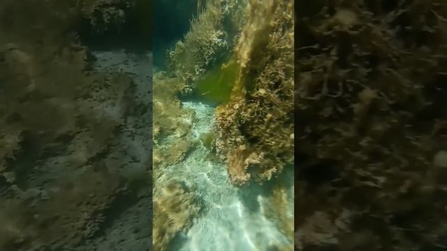 Прогулка по лесному озеру. П. Раздолье. Гостевой дом☎ 89086685708.Иркутская обл. смотреть онлайн