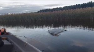 Барышево... Рыбалка... 18.09.23