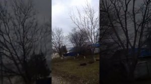 Наша сельская культура в селе отрадо-кубанское