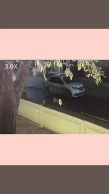 Ростов-на-Дону: ловкость рук - парочка украли забытый iPhone 12 по улице Семашко, 51! 🤬 смотреть онлайн