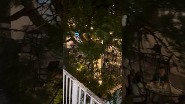 Отель пансионат Колхида Абхазия Гагра. #Колхида смотреть онлайн