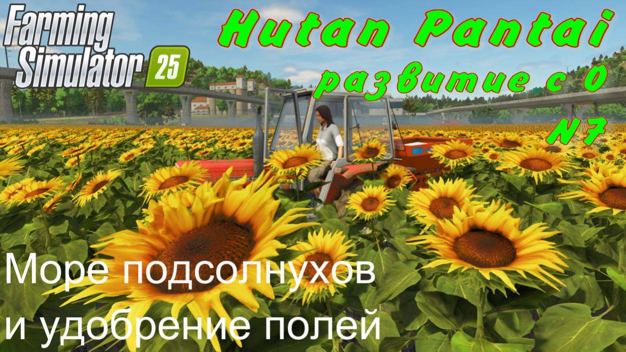 Farming Simulator 25. Hutan Pantai. Развитие с 0. 7 часть. Море подсолнухов и удобрение полей. смотреть онлайн
