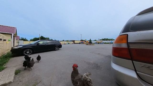 Прогулка по базе отдыха "Красный маяк" (Хабаровский край, с.Елабуга) смотреть онлайн