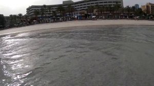 OCCIDENTAL SHARJAH GRAND 4*. Шарджа қаласындағы 1 линияда орналасқан отель.