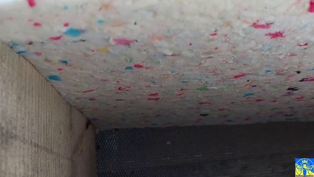 #Весняне утеплення бджіл (13.02.22)🐝😶🌫️ смотреть онлайн