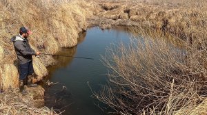 ВСЯ РЫБА ЗАШЛА НА НЕРЕСТ В РЕКУ. РЕКА КИПИТ В АПРЕЛЕ. РЫБАЛКА 2025