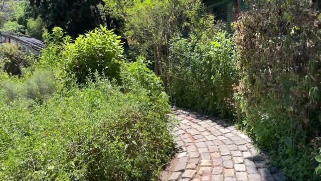 НАШЛИ СЕКРЕТНОЕ МЕСТО в центре Буэнос-Айреса | Купили кроссовки мечты! смотреть онлайн