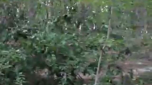 20150807 182240 Ставрополь Обзор стоянки у СККПБ 1 смотреть онлайн