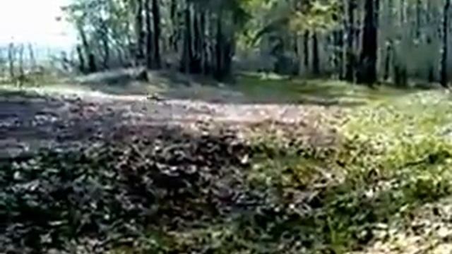 сами видите смотреть онлайн