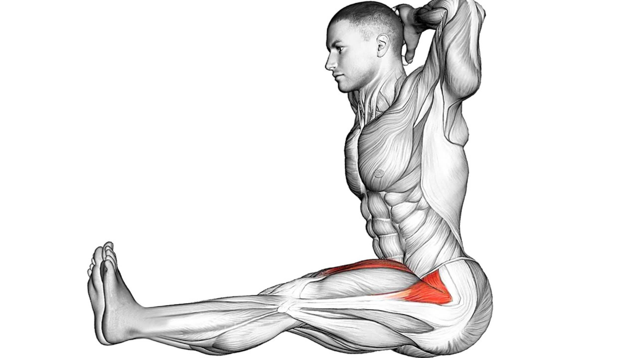 Лучшие упражнения с собственным весом, которые вы можете выполнять дома смотреть онлайн