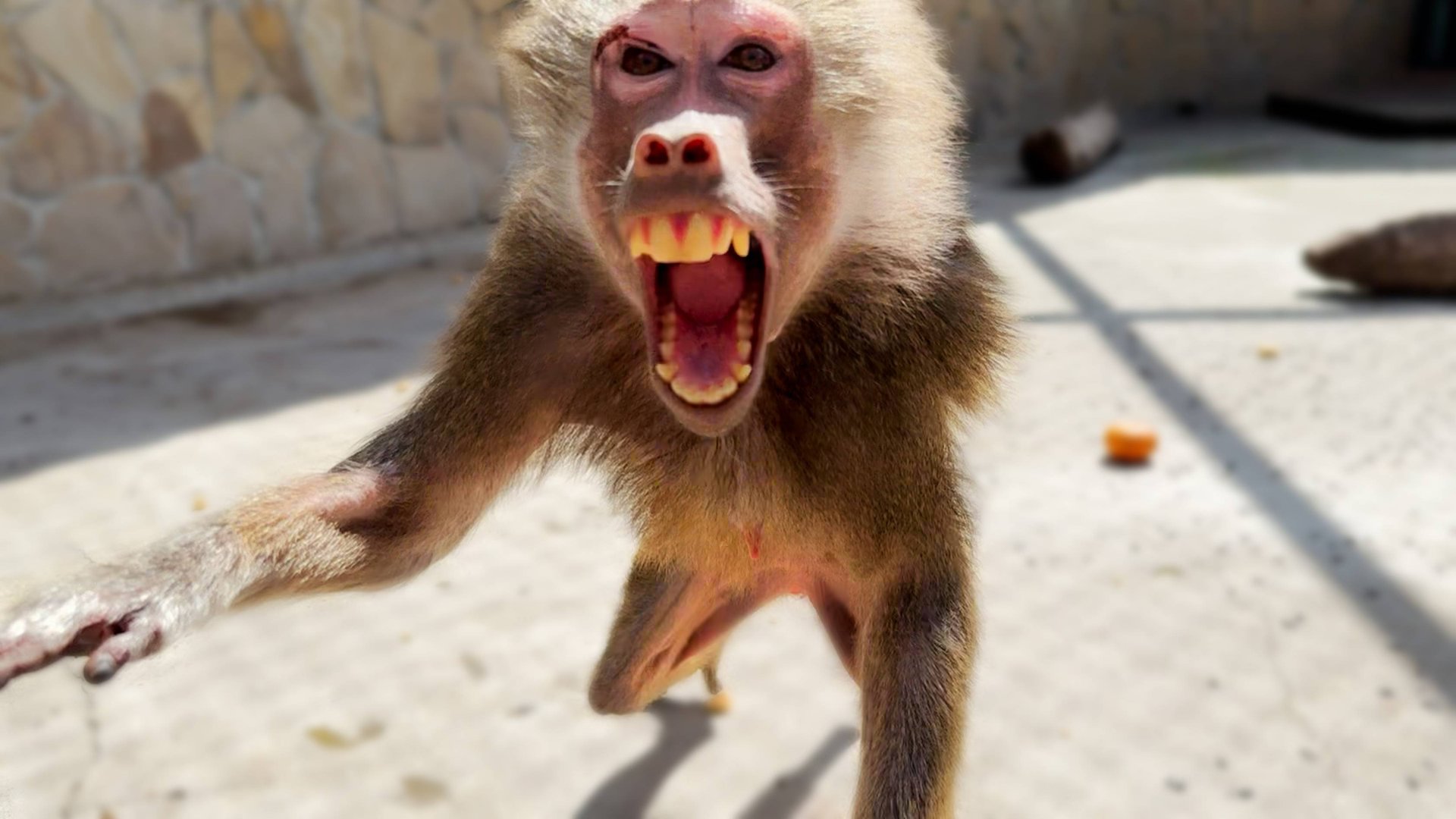 Лида БРОСИЛАСЬ на нас, ПРИРЕВНОВАВ Елисея! Конкурентки не нужны! Семья состоялась, ждем осенью малыш смотреть онлайн