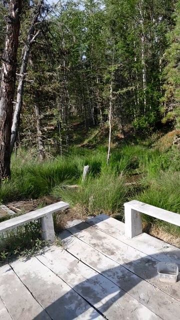 Ногаан Хол. Лечебное озеро. смотреть онлайн