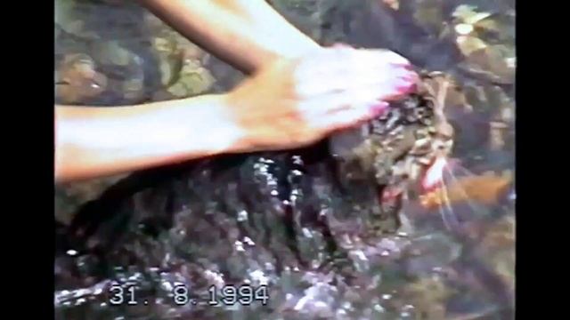 #Автотуристам: на НАШ ЮГ со Скифом (1994) смотреть онлайн