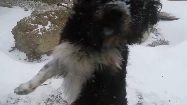 Зима в Херсоне (Зимовник) 6.01.2017 смотреть онлайн