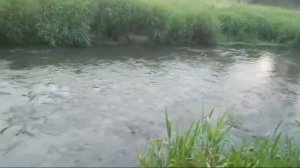 ОТКРЫТИЕ ДОРОГ С ПОМОЩЬЮ РЕКИ . для всех . ИНГА ХОСРОЕВА . ВЕДЬМИНА ИЗБА.