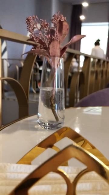 Красивое кафе в центре Астаны смотреть онлайн