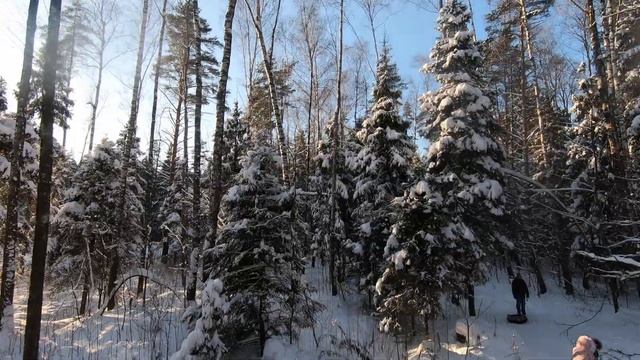 Зимняя лесная сказка / Winter Forest Tale смотреть онлайн