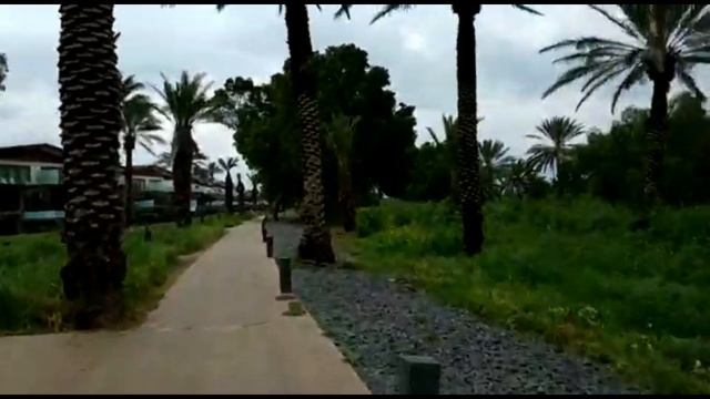 Не влог. The Hotel SETAI in ISRAEL. смотреть онлайн