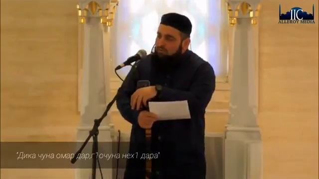 дел элчан с.а.с весет хьехем смотреть онлайн