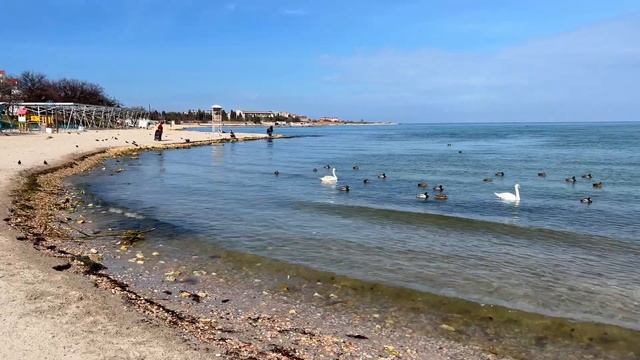 Севастополь #3 Что тут Где? смотреть онлайн