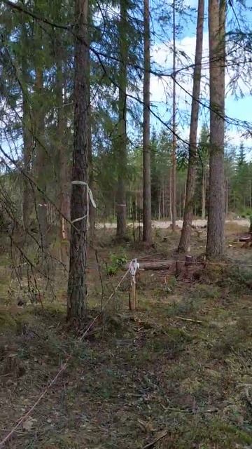 Рощино Парк(1) смотреть онлайн