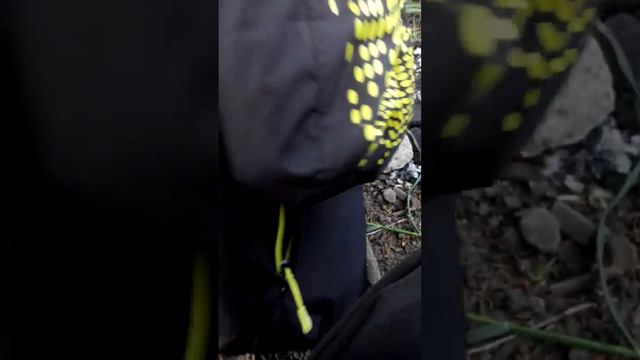 Выживание вдвоём "Обед с костра" смотреть онлайн