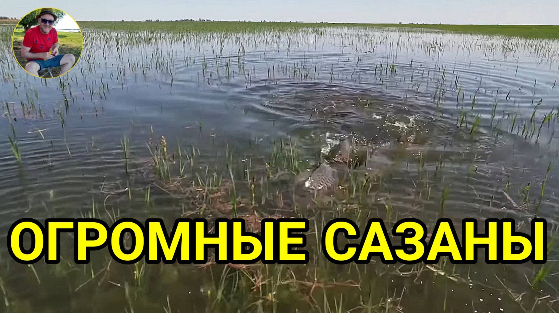 ОГРОМНЫЕ САЗАНЫ!!! Полои нерест в Астрахани.