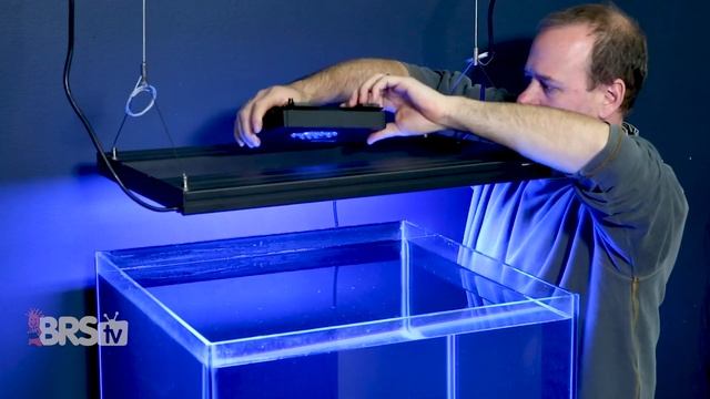 Reef lighting - The cheapest approach to lighting your saltwater reef tank | Reef FAQs смотреть онлайн