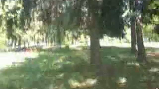 в доме отдыха Агашкино смотреть онлайн
